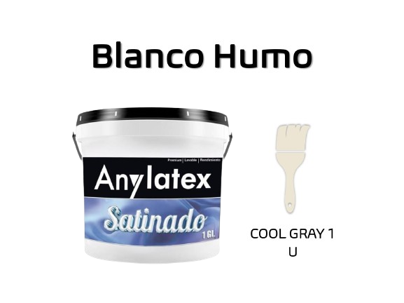PINTURA ARQUITECT?NICA - 2213X01-BLANCOHUMO-CG