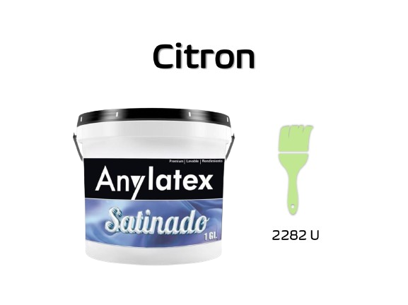 PINTURA ARQUITECT?NICA - 2213X01-CITRON