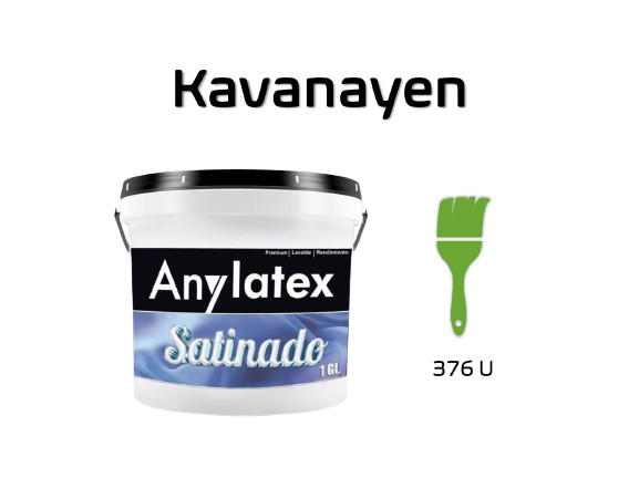 PINTURA ARQUITECT?NICA - 2213X01-KAVANAYEN