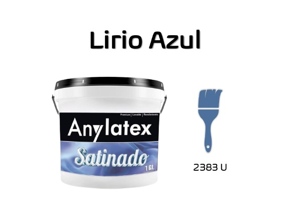 PINTURA ARQUITECT?NICA - 2213X01-LIRIOAZUL