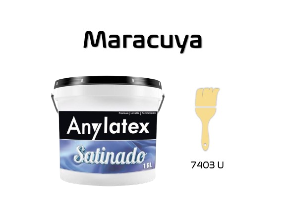 PINTURA ARQUITECT?NICA - 2213X01-MARACUYA