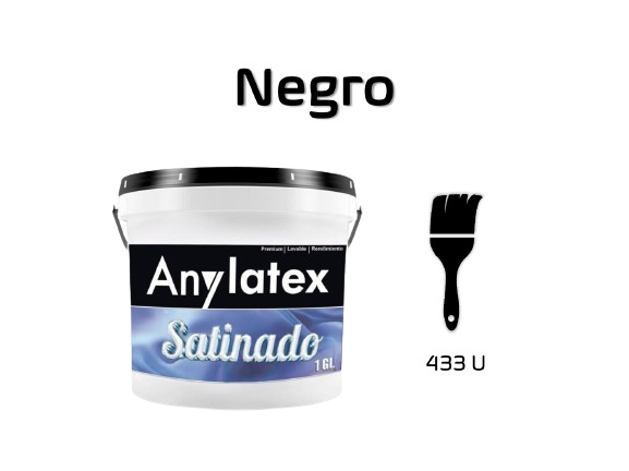 PINTURA ARQUITECT?NICA - 2213X01-NEGRO