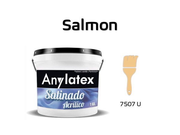PINTURA ARQUITECT?NICA - 2213X01-SALMON