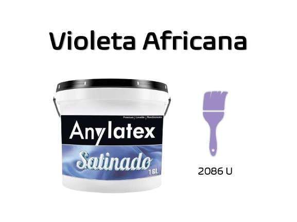 PINTURA ARQUITECT?NICA - 2213X01-VIOLETAAFRICANA