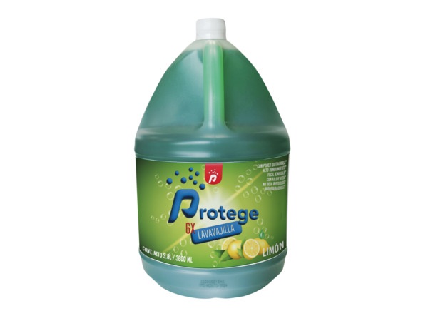 LAVAVAJILLAS - P300270