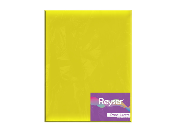 PAPEL LUSTRE - PC-R100132