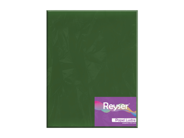 PAPEL LUSTRE - PC-R100139