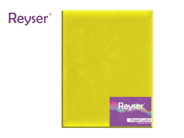 PAPEL LUSTRE - R100494