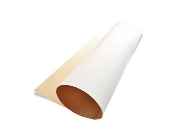 CARTULINA - R100742