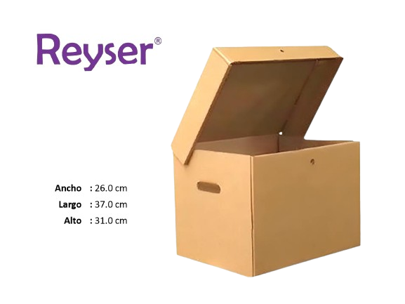 CAJA ARCHIVADORA CON TAPA - R100847