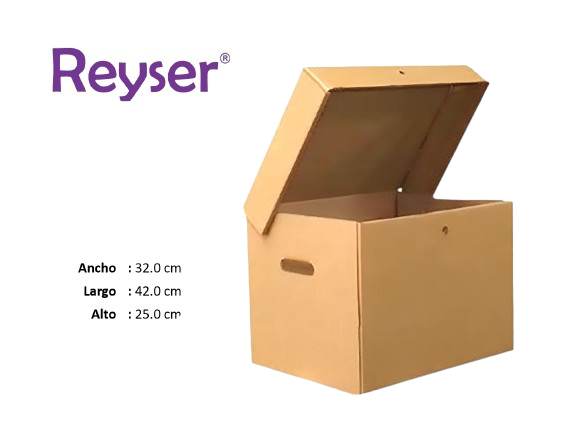 CAJA ARCHIVADORA CON TAPA - R100848