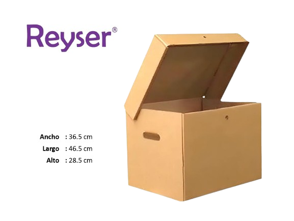 CAJA ARCHIVADORA CON TAPA - R100849