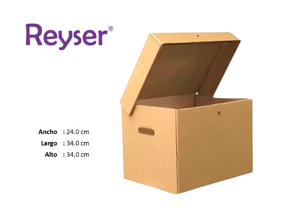 CAJA ARCHIVADORA CON TAPA - R100850